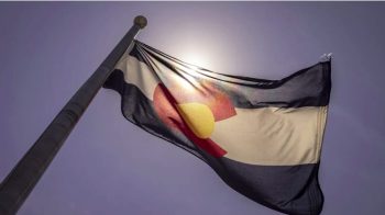 Image 12-19-24 at 8.39 AM (1)